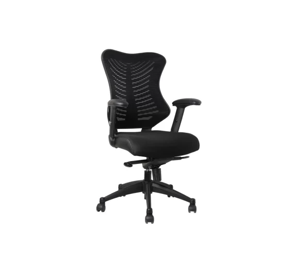 spine delux spine task chair in black